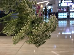 -花邻FloweringLife花艺气球派对(武康大楼店)