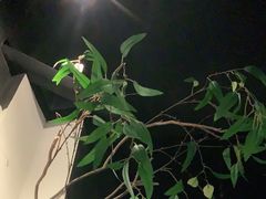 -春天来了(印象新天地店)