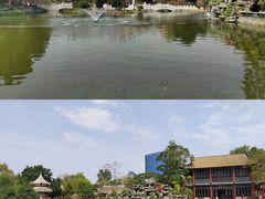 -顺峰山公园