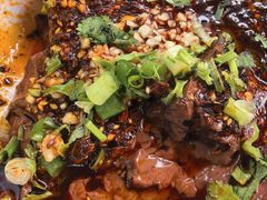 -小杨翘脚牛肉