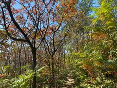 -永定河休闲森林公园