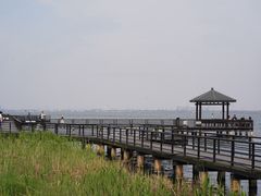 -莲花岛景区
