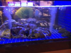 -陶陶居海鲜酒家(新马路店)