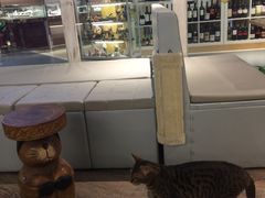 -小时光咖啡馆(开森度假森林店)