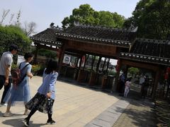 -洪湖生态旅游区