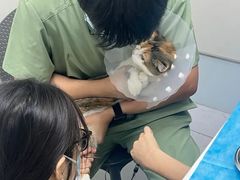 -达爱动物医院·犬猫分区·CT·复杂眼科(远洋山水分院)