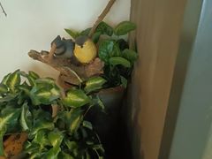 -湘当爱·鲜煮现炒(松岗立业路店)