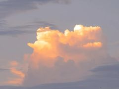 -六伴夏烘焙蛋糕·低糖动物奶油