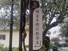 -曹州百花园