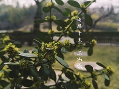 -九头鸟酒家(四道口店)