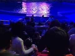 -海合安武汉极地海洋公园