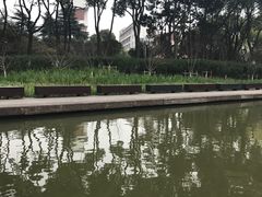 -圩墩遗址公园