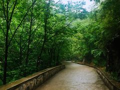 -北京上方山国家森林公园
