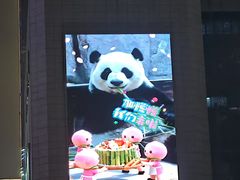 -无锡动物园·太湖欢乐园