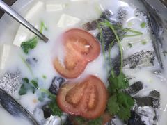 -全乐鱼馆·淳牌有机鱼直营店
