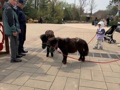 -济南野生动物世界