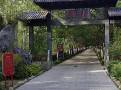 -合肥滨湖国家森林公园