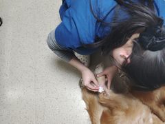 -爱派特动物医院·全科诊疗中心