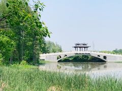 -东湖落雁景区