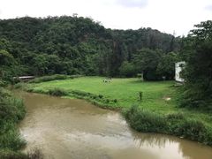 -南宁良凤江国家森林公园