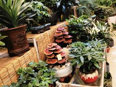 -双季花艺园艺市场(浦东店)