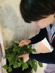 -馨月汇·一悦馨香月子中心(前滩店)