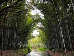 -同里国家湿地公园