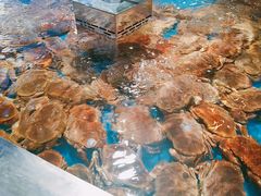 -盒马鲜生(悦峰店)