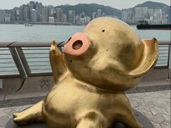 -星光大道