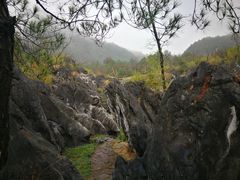 -千岛湖石林