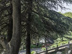 -句容茅山景区