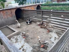 -宁波九龙湖开元度假村