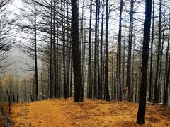 -阿尔山市大兴安岭奥伦布坎景区