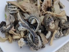 -墨脱石锅椰子鸡•香草鸭•东山羊(大东海店)