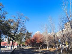 -辽宁大学(崇山校区)