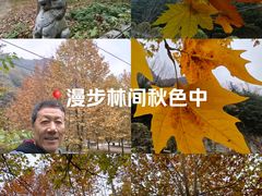 -沣峪口