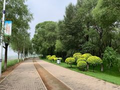 -潇河湿地公园