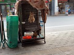 门面-沙湾姜埋奶(兴新包店)