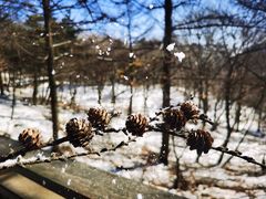 -沂蒙山旅游区龟蒙景区