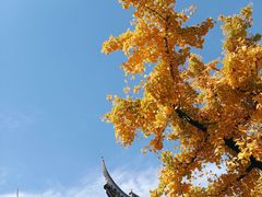 -龙华寺