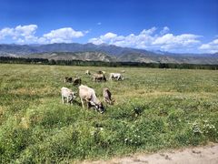 -新疆那拉提国家旅游度假区