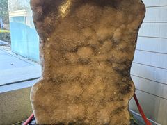 -春晖园度假酒店温泉