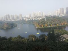 -重庆彩云湖湿地公园