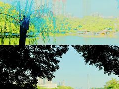 -东山湖公园