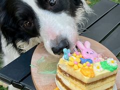 -J Create城市露营咖啡·简餐·宠物(上海动物园店)