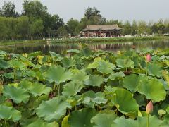 -西海子公园