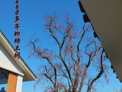 -丹山赤水风景名胜区