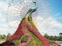 -七彩云南欢乐世界