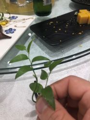 -上海浦东华美达大酒店·宴会厅