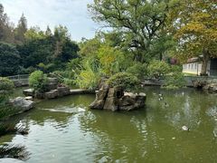 -东湖落雁景区